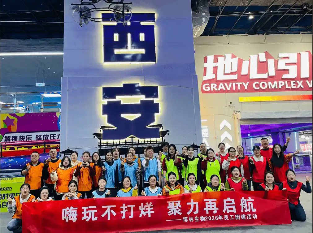 Building Stronger Bonds and Team Spirit: BolinBio's Energizing Team-Building Retreat